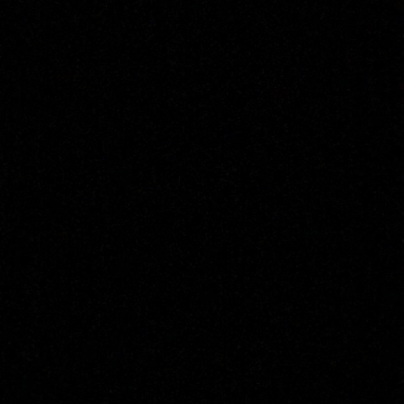 Meet your Posher, Aaliyha - Picture 1 of 1